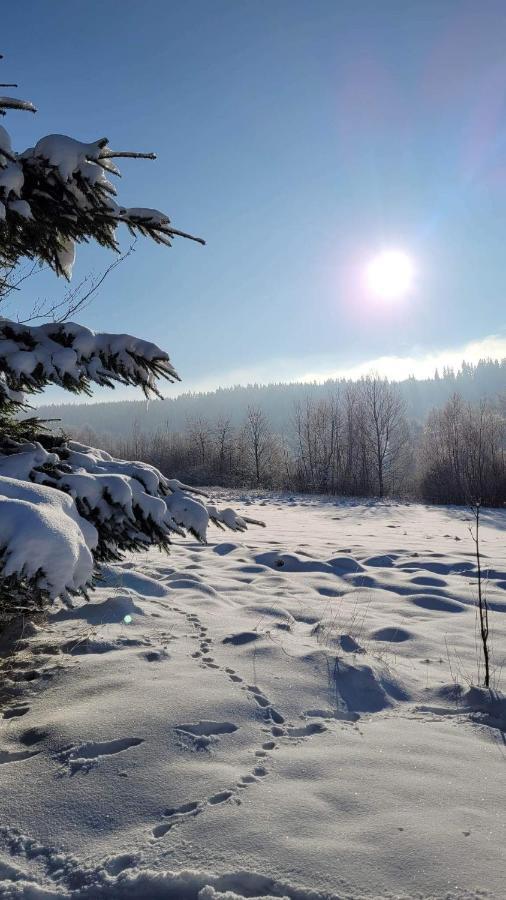 Osada Sierpnica - Uroczy Dom Z Kominkiem I Balia W Gorach Sowich Luaran gambar